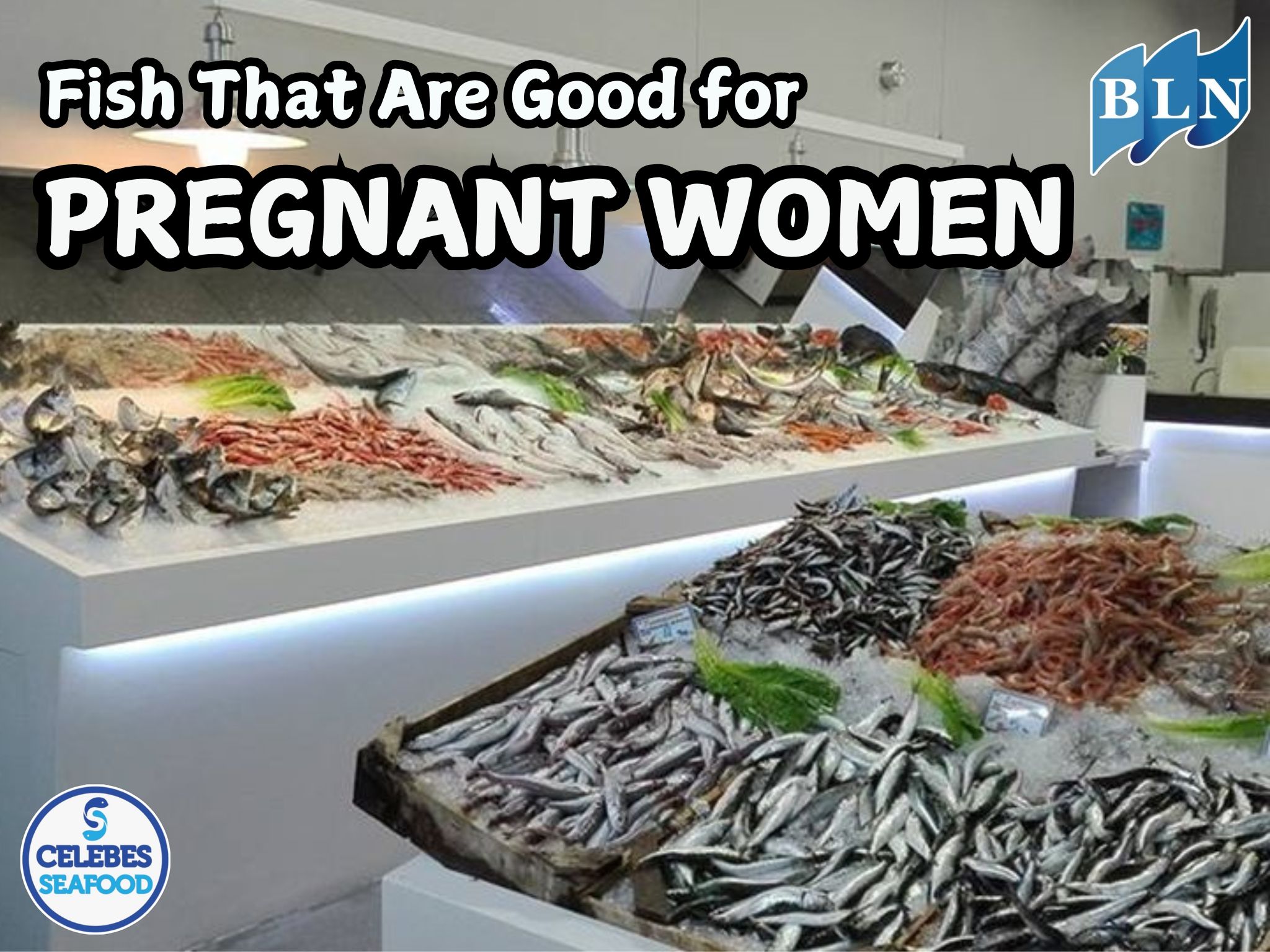 10 Types of Fish That Are Good for Pregnant Women to Consume for Maternal and Fetal Health